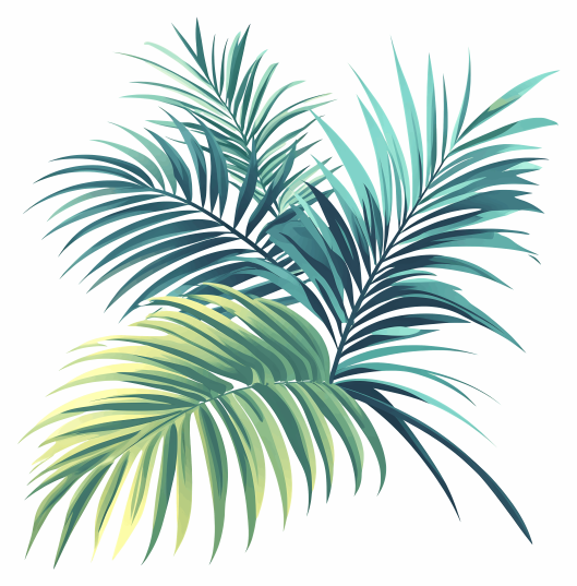 palm leaves