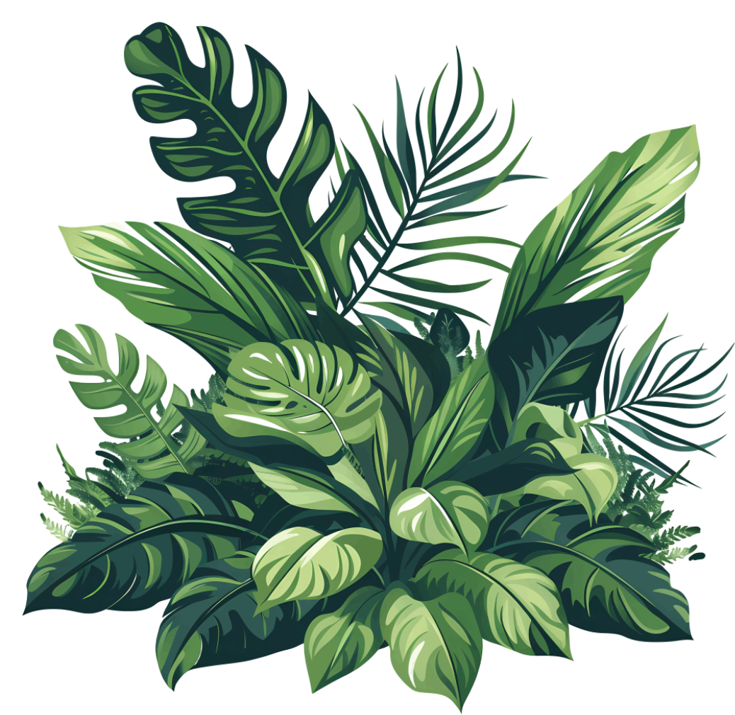 plants